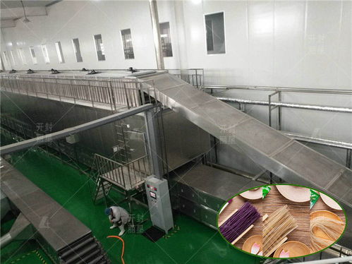 銅川不加明礬碗裝粉絲加工設備特點承諾守信 開封市麗星機械