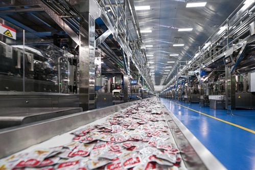 鄉友回歸,岳陽風景更好